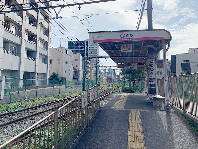 向原停留所の写真
