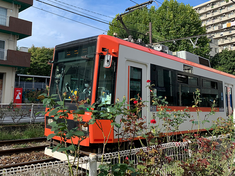 線路沿いのバラの写真