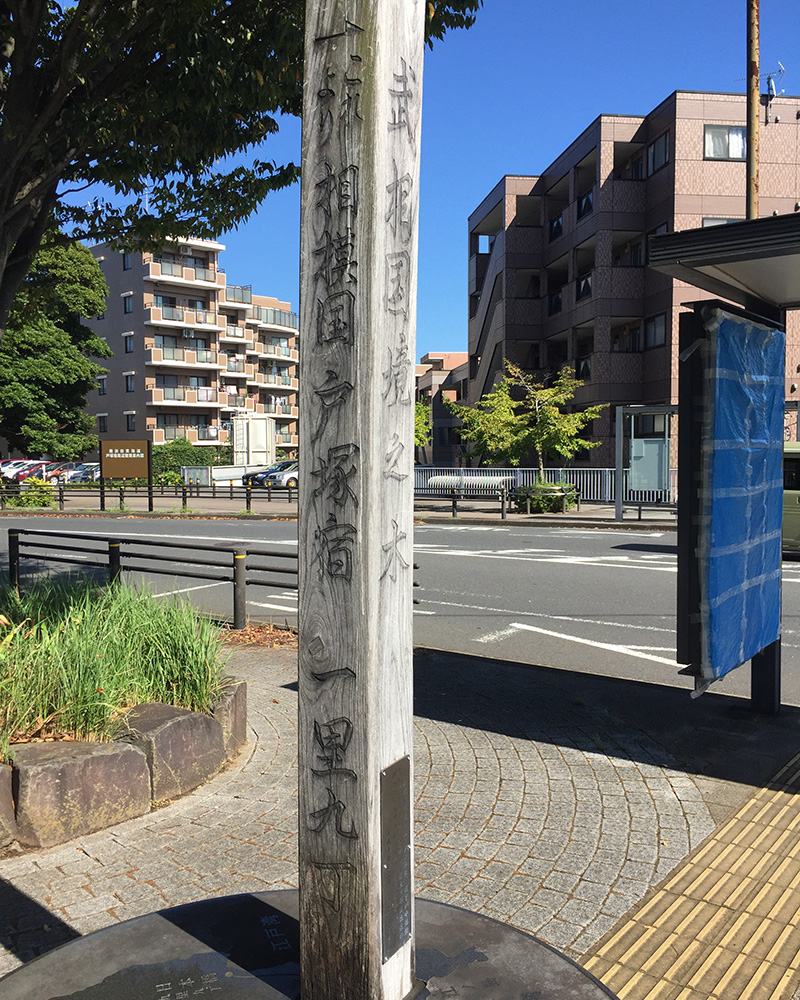 さらば武蔵国、よろしく相模国!の写真