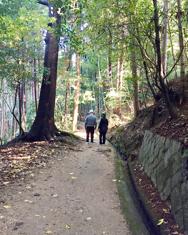 仲睦まじく歩いて行く写真