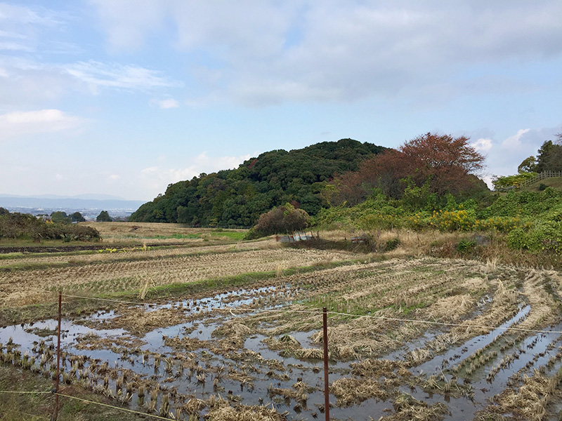 崇神天皇陵の写真