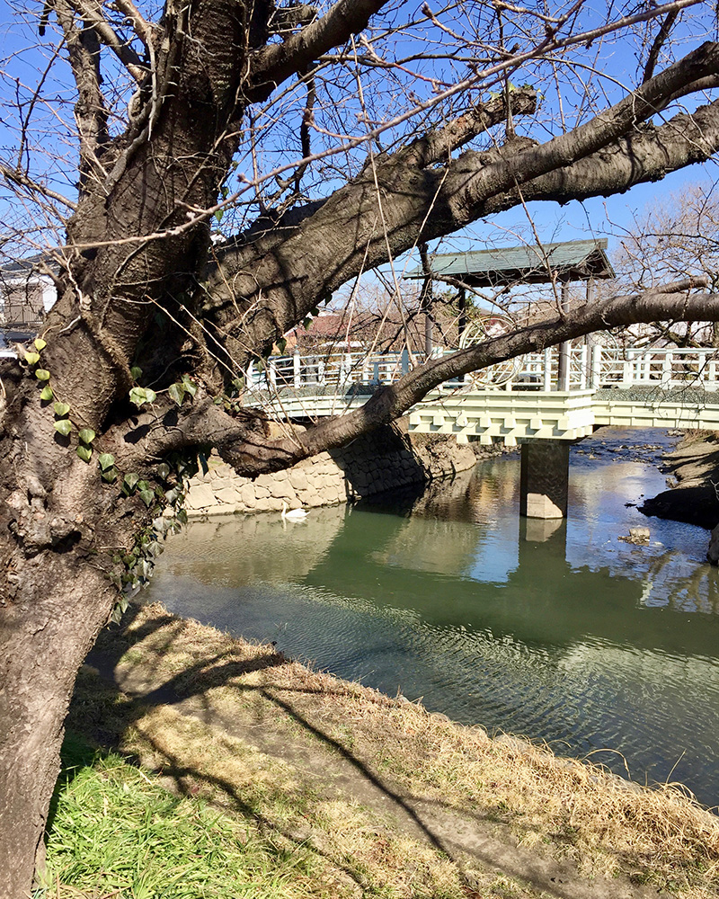 川が網の目のように流れている写真