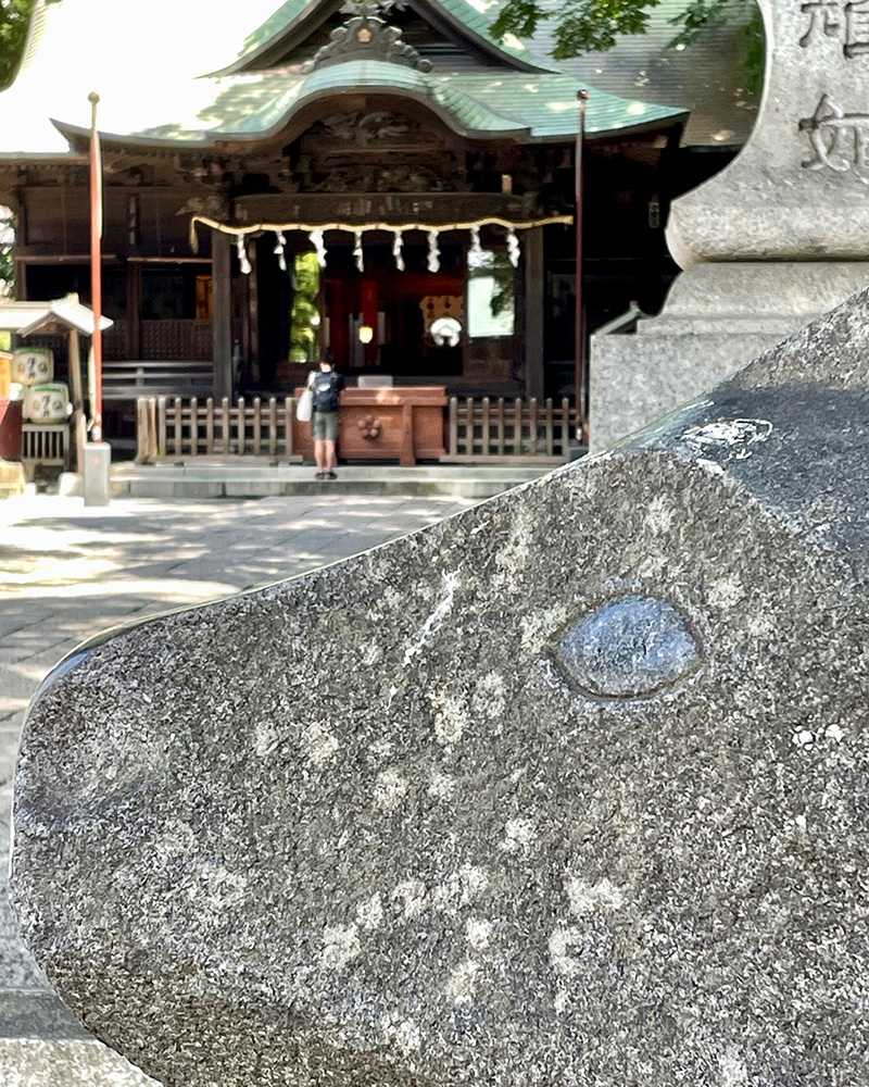 一生懸命拝んでいた写真