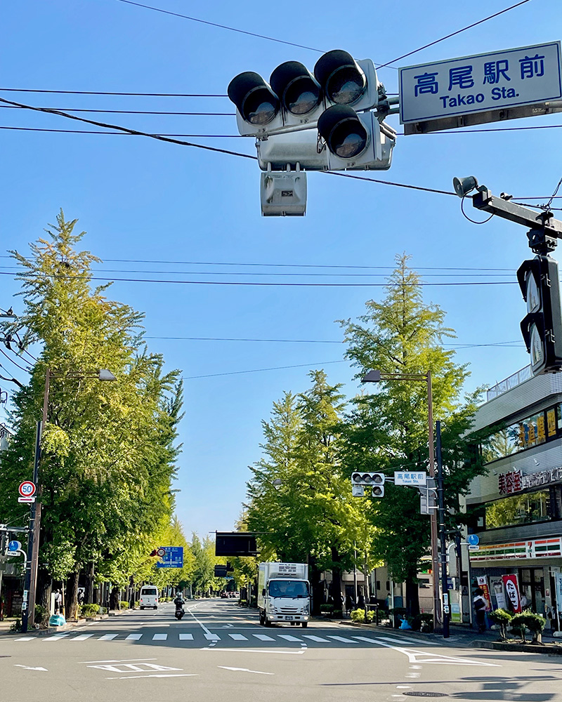 八王子から高尾まで続くイチョウ並木の写真