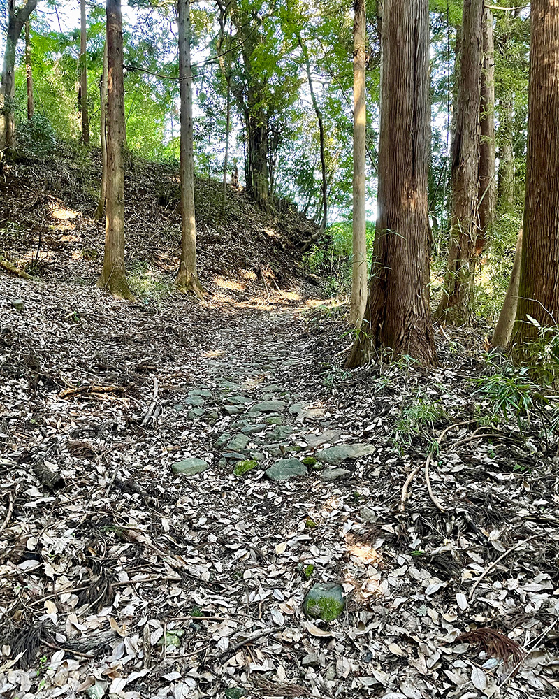 石畳がうっすらと残っている写真