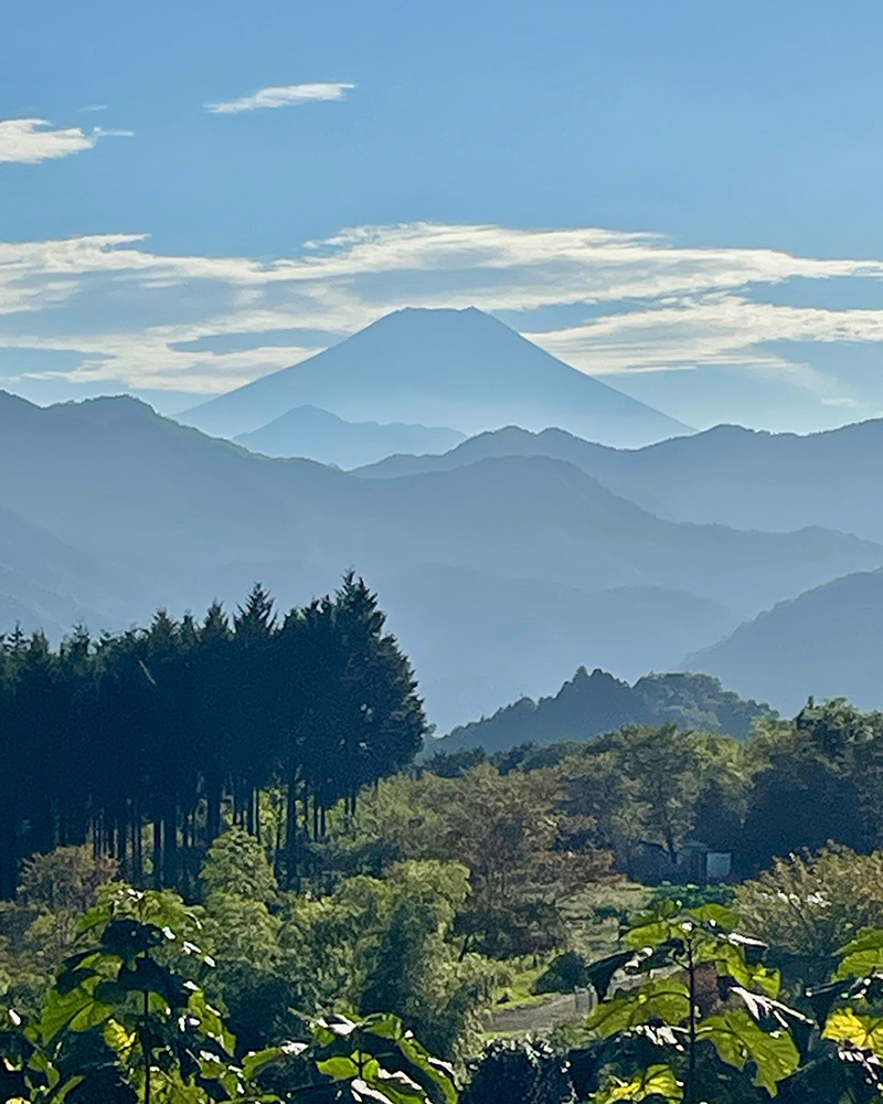 版画絵のような山のグラデーションの写真