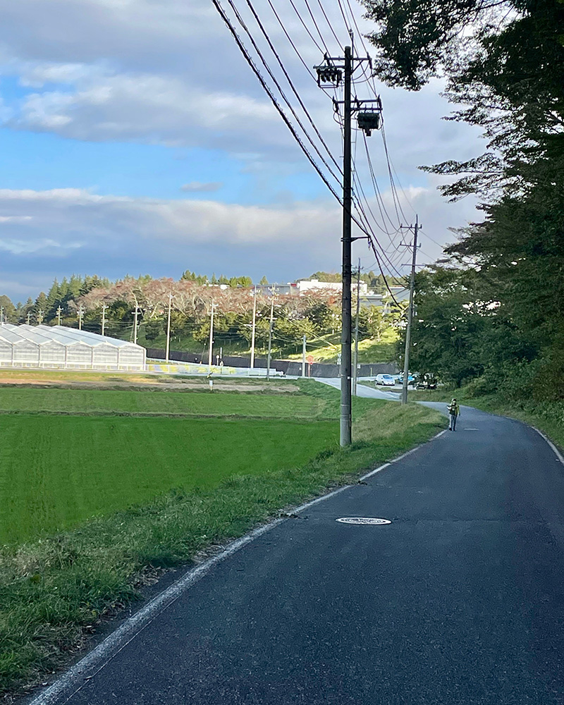 カゴメの工場が見える写真