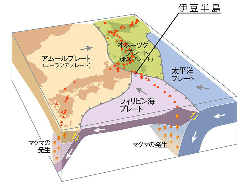 伊豆半島の成り立ち（出典：伊豆半島ジオパーク）の写真