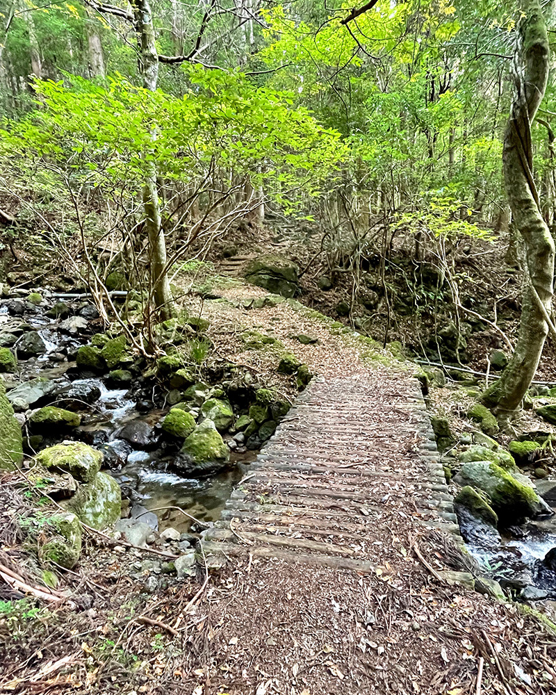 次々に道が変化して楽しい写真