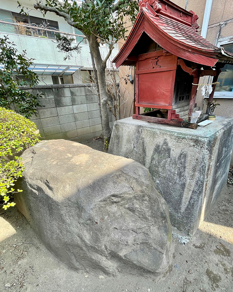 化石（ばけいし）が隠れるようにあった写真