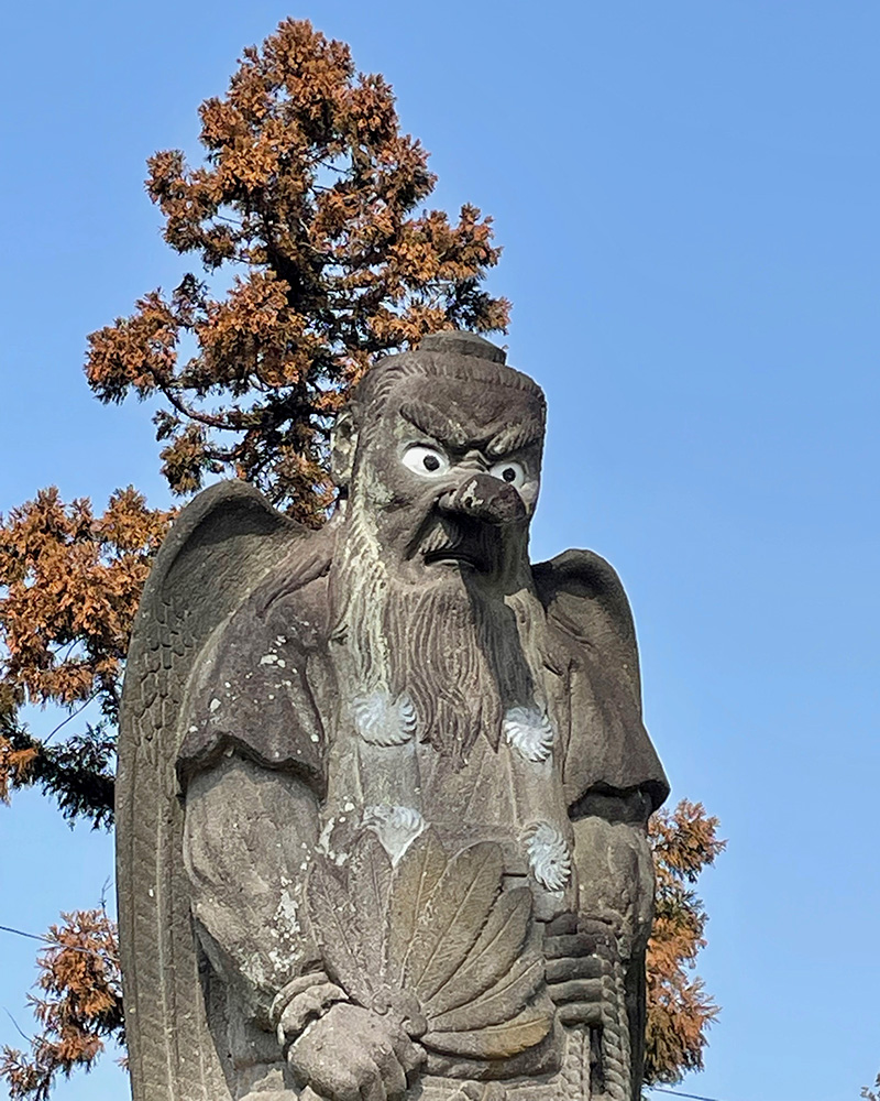 大天狗が見下ろしている写真