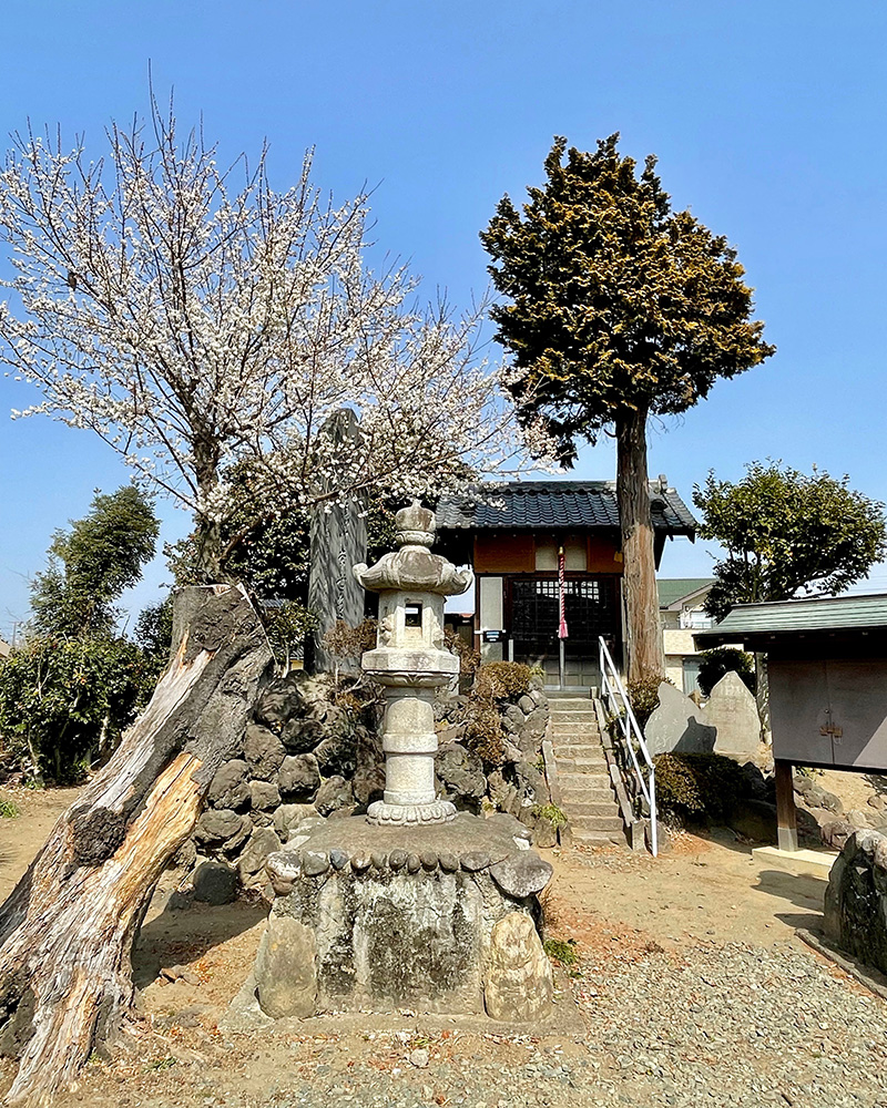 常世神社の写真