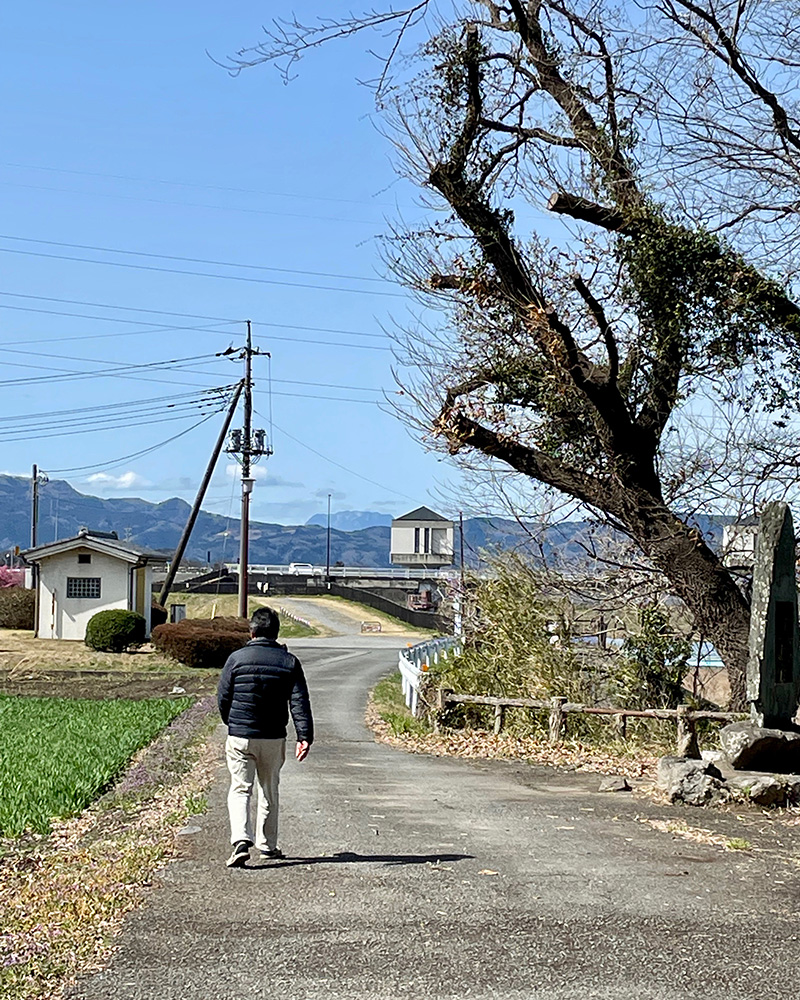 散歩の男性が去っていく写真