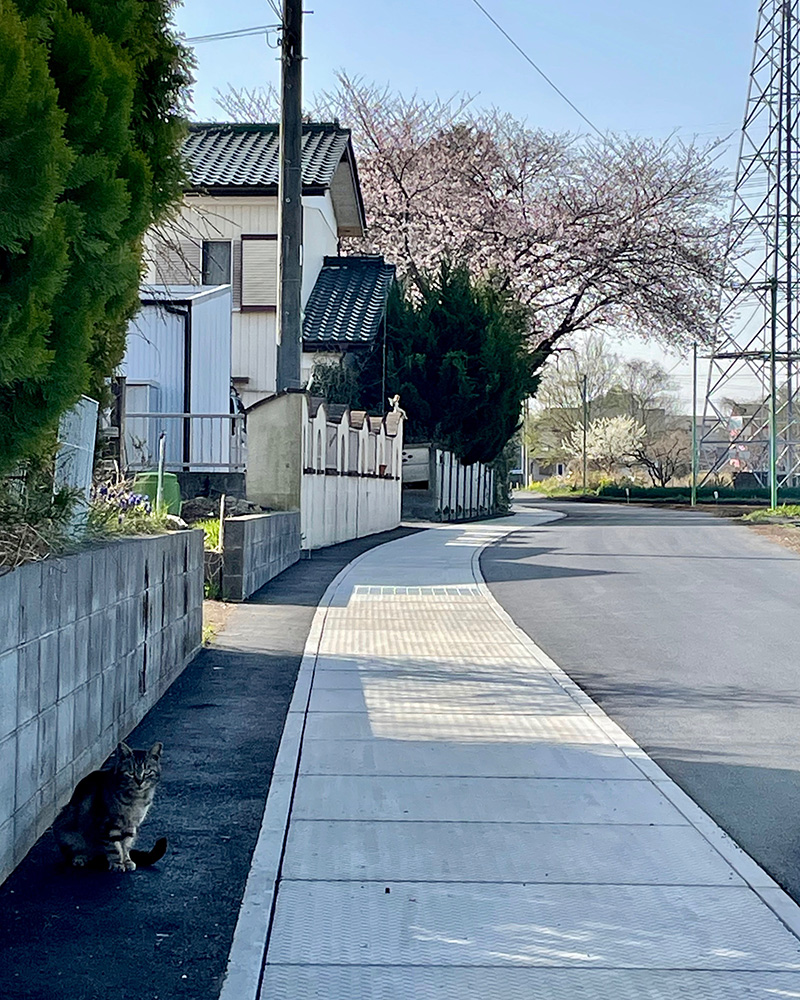 鎌倉街道の掘割が水路になっている写真