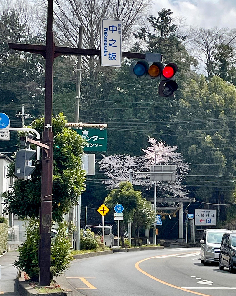 新田義貞ゆかりの八幡神社が前方に見える写真