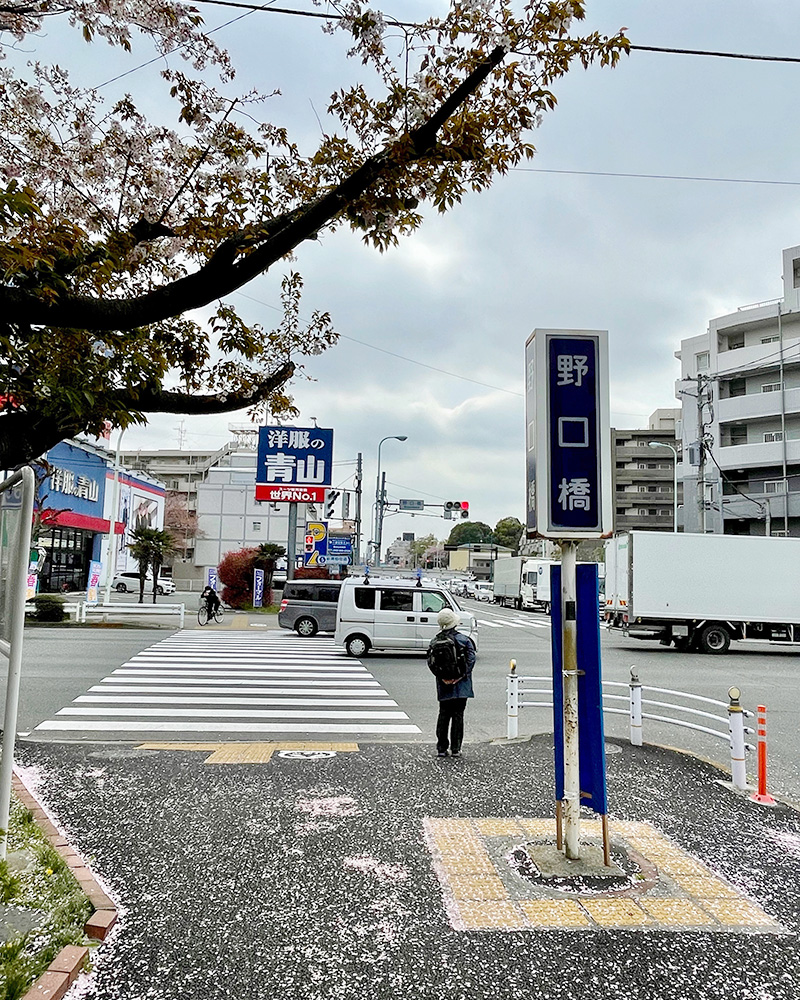 野口橋交差点で新青梅街道と交差する写真