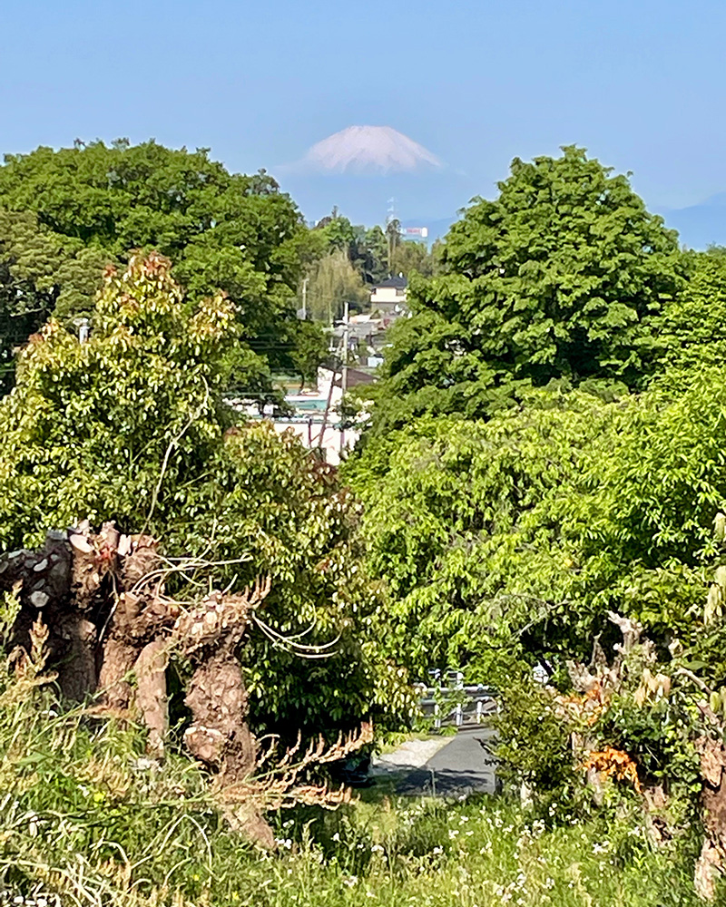 駅から鎌倉街道に向かう途中で富士山が見えた写真