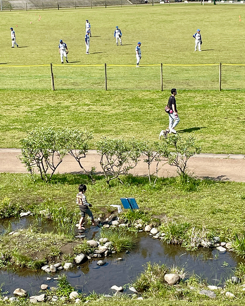 にぎやかな境川遊水地公園の写真