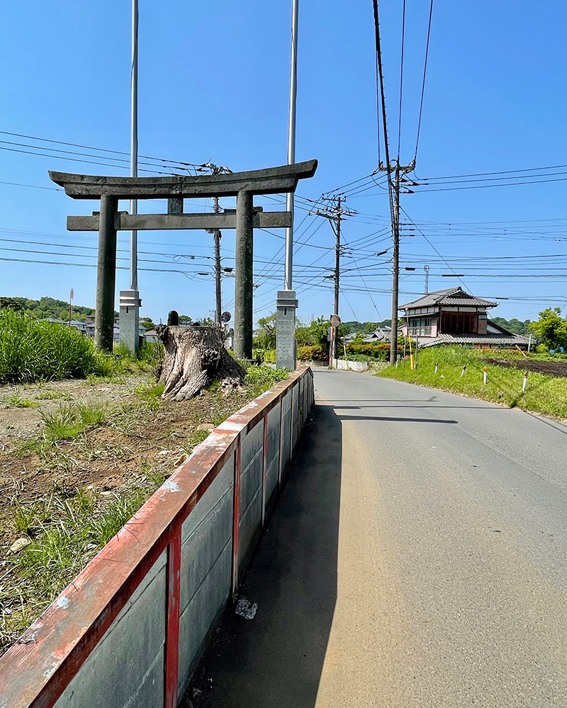 八坂神社の鳥居、鎌倉街道の説明板があった写真