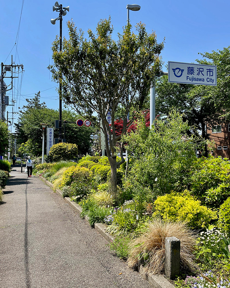 旧東海道にしばらく合流する写真