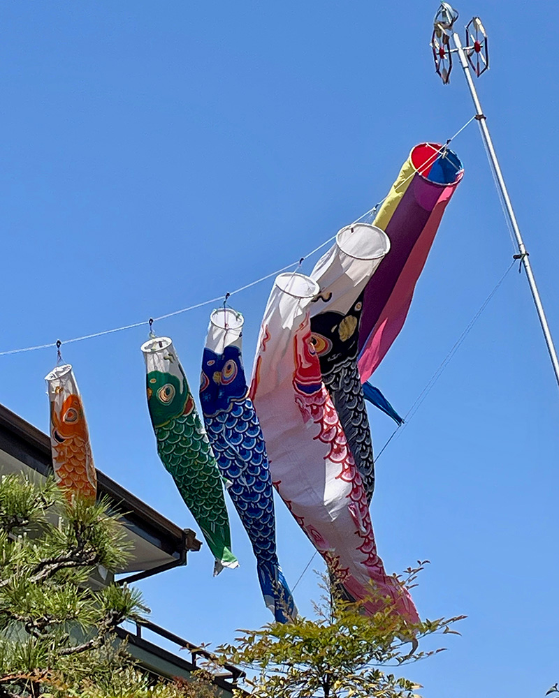 鯉のぼりが優雅に泳いでいた写真