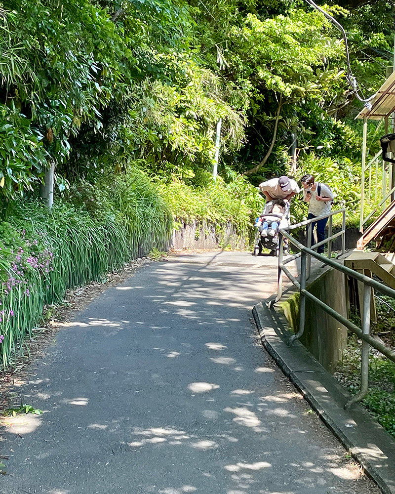 子どものキャッキャ言う声が聞こえる写真