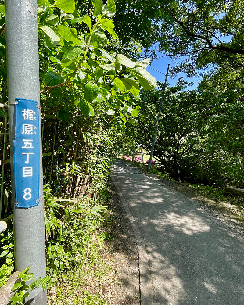 梶原景時の本拠地、鎌倉のすぐ近くということは、それだけ信頼されていたということかの写真
