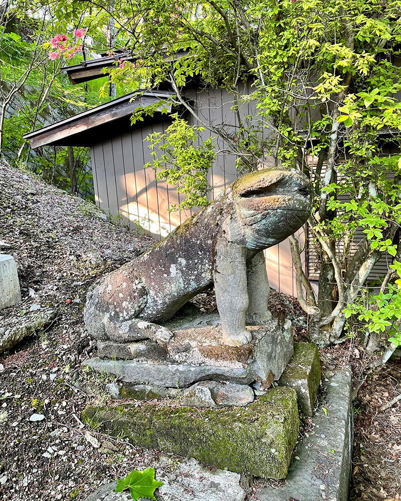 )ウナギ犬みたいだの写真