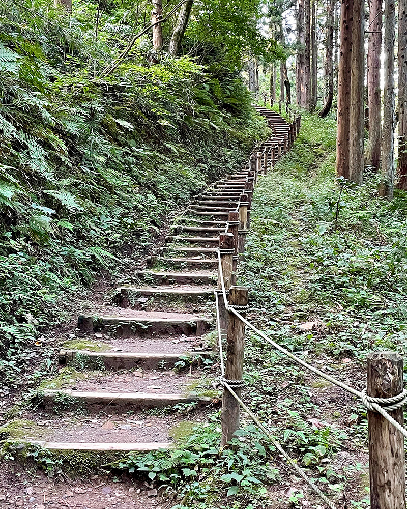 ぐんぐん登っていく写真