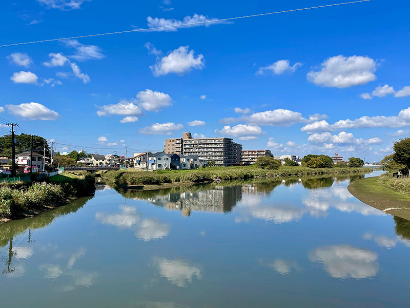 右が大落古利根川、左が古隅田川の写真
