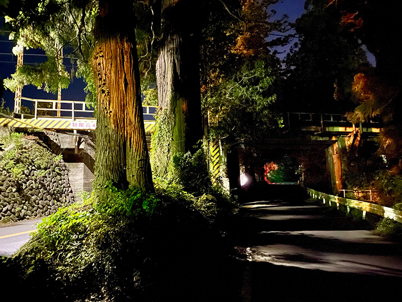 東武日光線の高架をくぐる写真