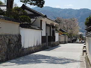 歴女“必験”のみち旅、悠久の戦国を偲ぶ松山城