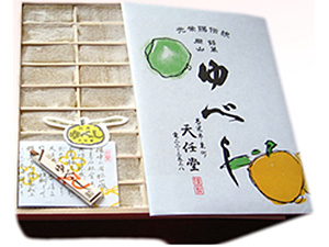 銘人列伝100　土屋 天任堂