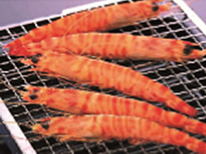 車海老の西京焼きの写真